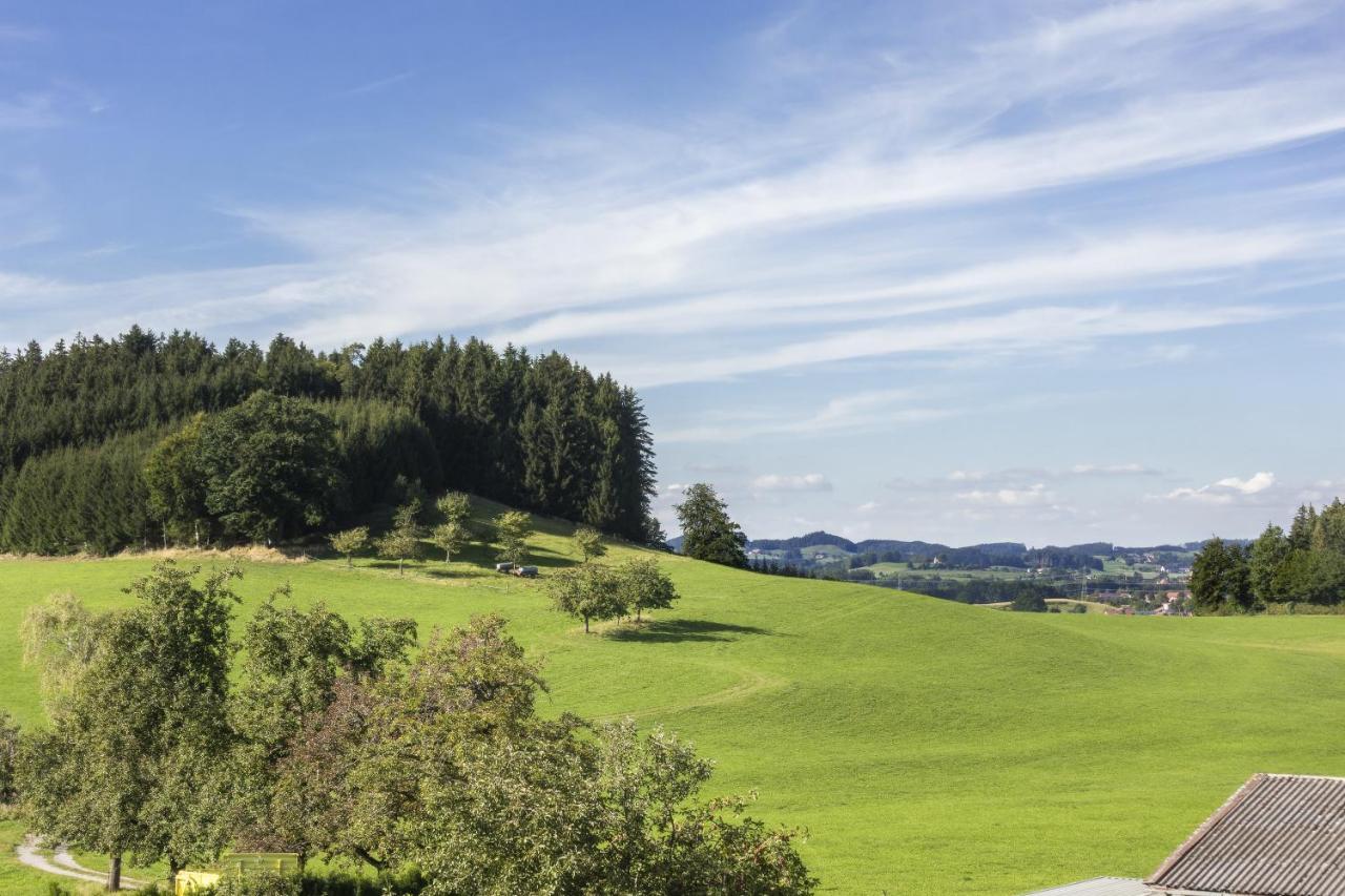 Apartment Landzeit Neukirch  Exteriör bild